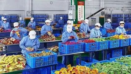 螺蛳粉 从地方小吃到互联网爆款的“疯狂圈粉”之路