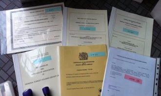 代办互联网金融公司、一次性医疗器械、保健食品代理记账及食品互联网销售财税合规指引